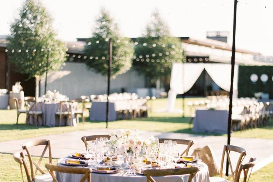Ponzi Vineyards