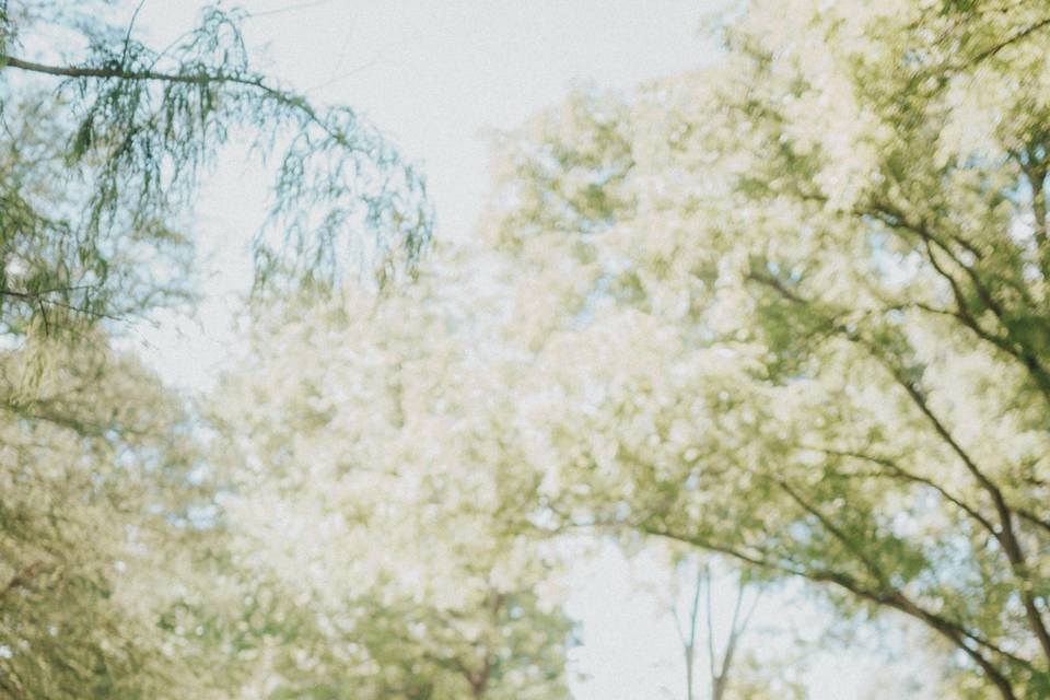 Engagement Session