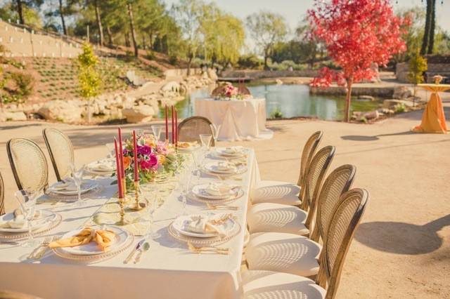 Table set-up