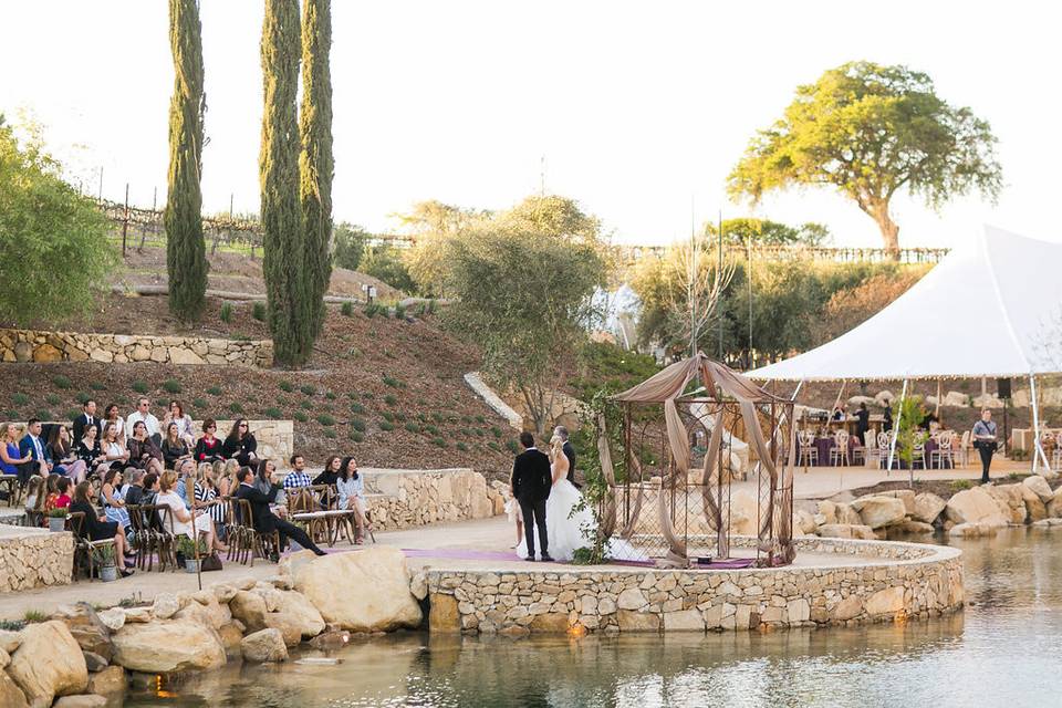 Wedded couple near the gazeeboo