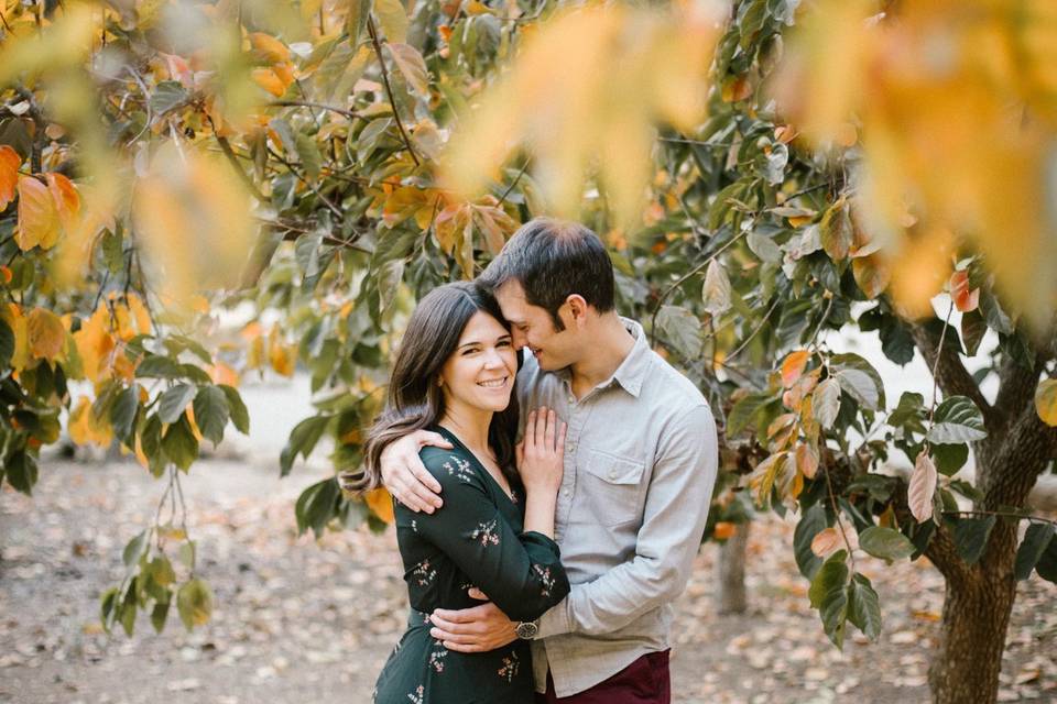 Ojai engagement