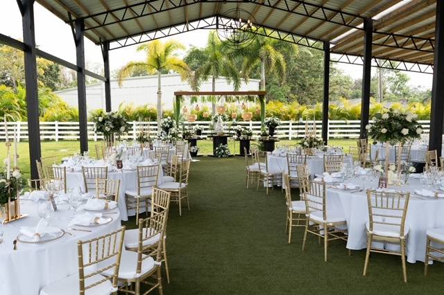 Reception under pavillion