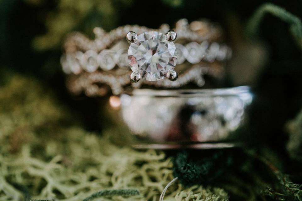 Breanna White Photography | Rings from Wilsons Diamonds