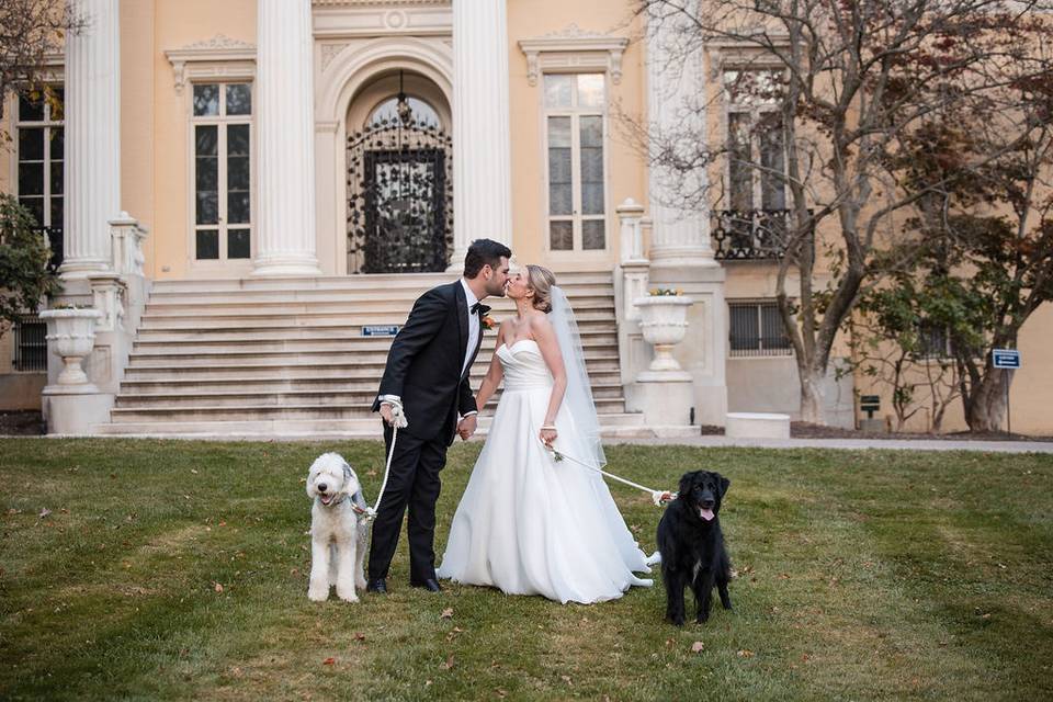 Bride and Groom with Dogs