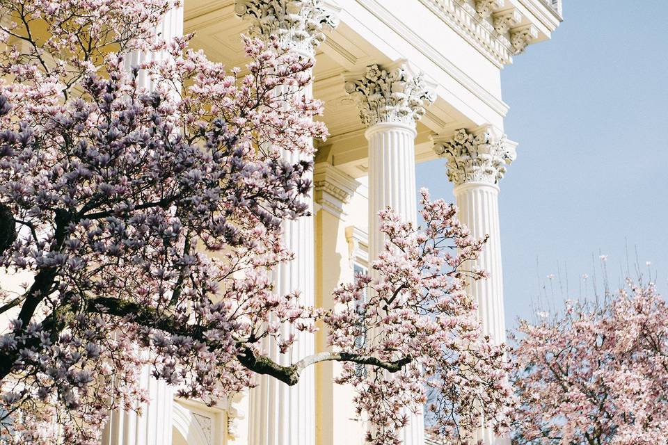 Mansion Details and Magnolias