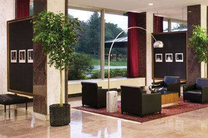 Art Sales and Leasing