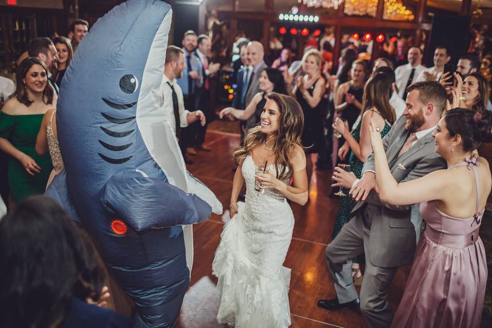 First dance with Shark