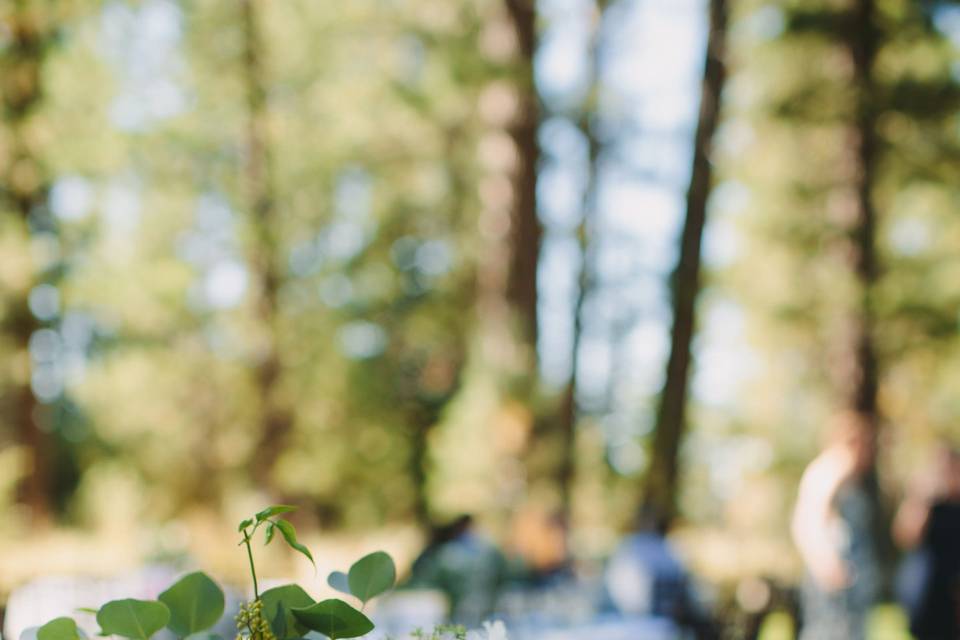 Wedding Table Names