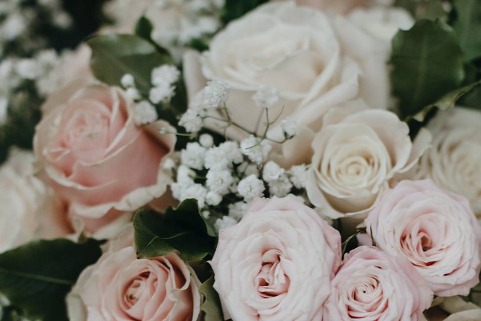 Blush Roses