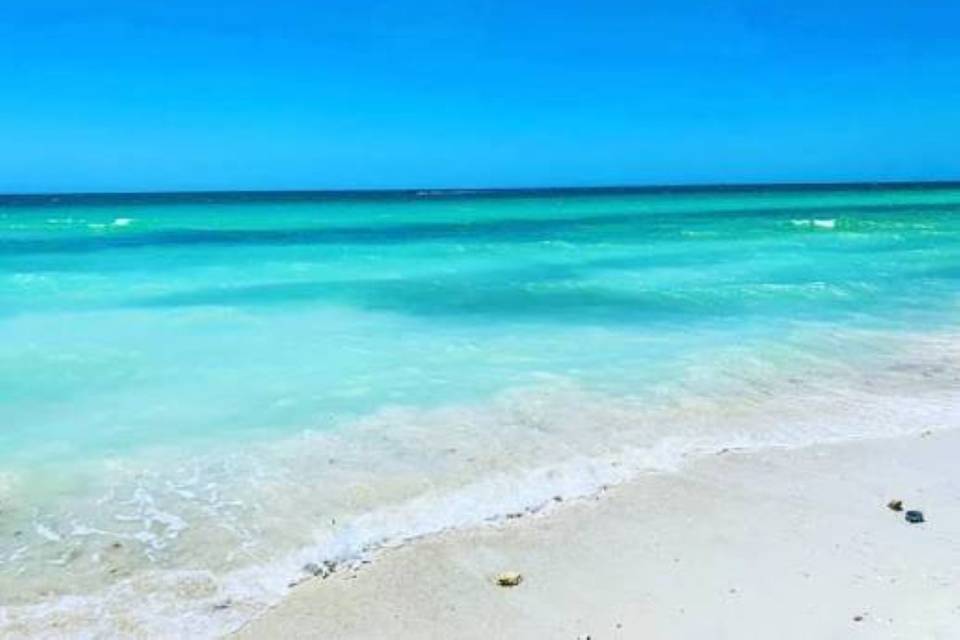 images honeymoon island.jpg