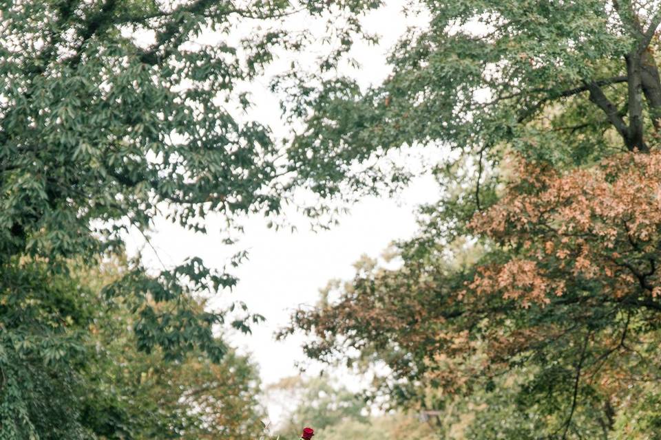 Ceremony Arch