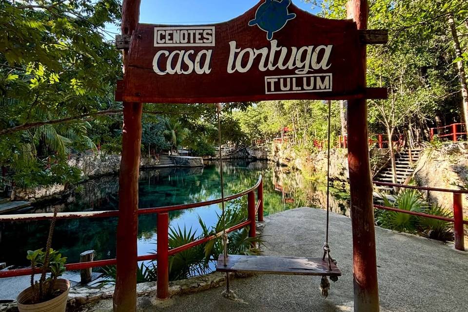 Cenotes Casa Tortuga Tulum