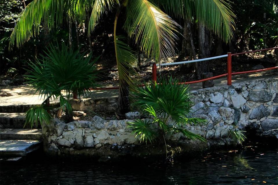 Cenotes Casa Tortuga Tulum