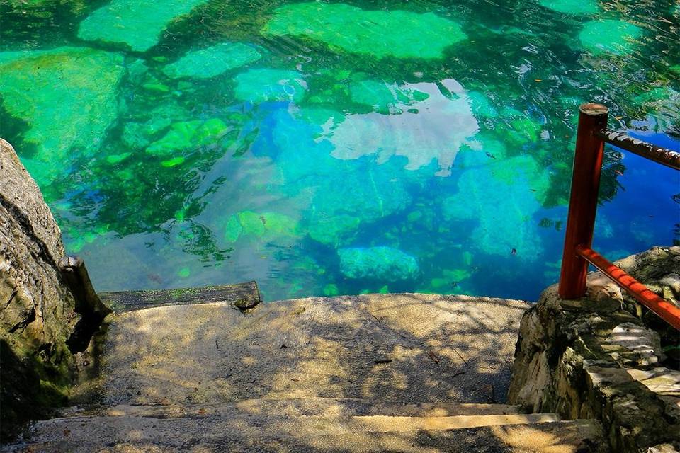 Cenotes Casa Tortuga Tulum