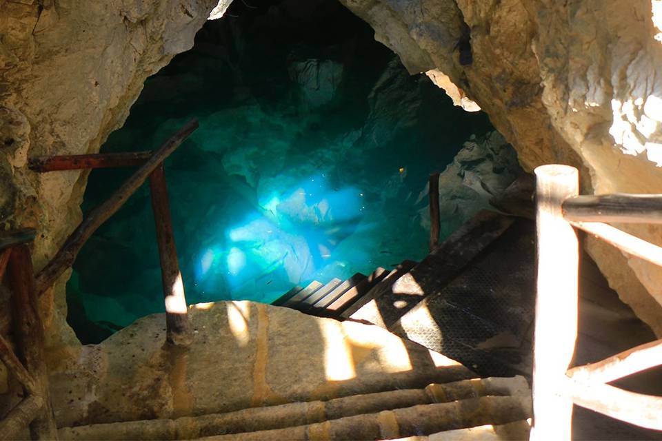 Cenotes Casa Tortuga Tulum