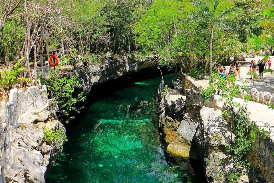 Cenotes Casa Tortuga Tulum