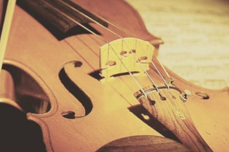 Violin closeup