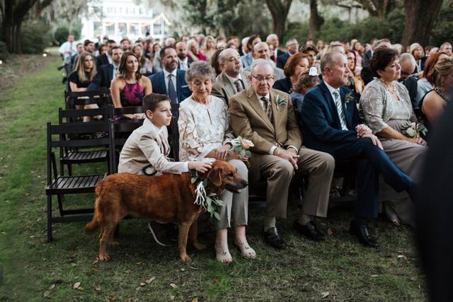 Wedding Photographer