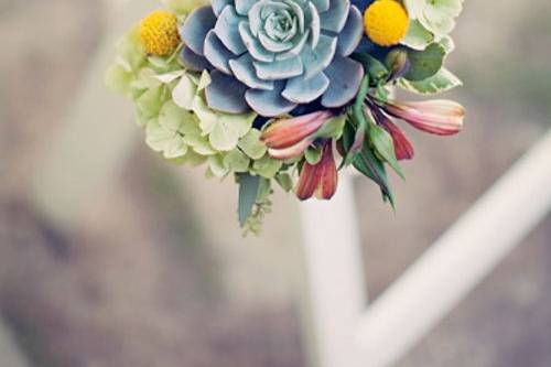 Aisle Succulent Posey Dallas