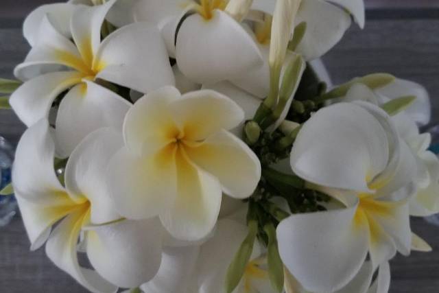 Plumeria Weddings & Events Hawai'i