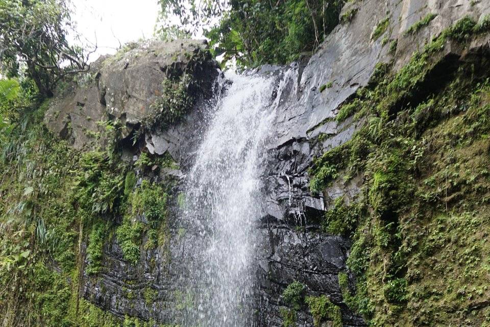 Romantic El Yunque, Puerto Ric