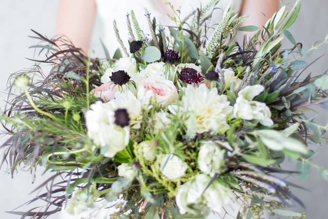 Lucia Gill Photography