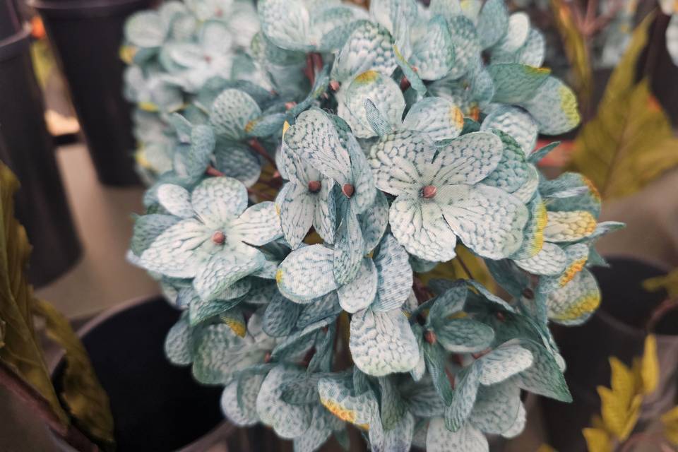 Flowers 3