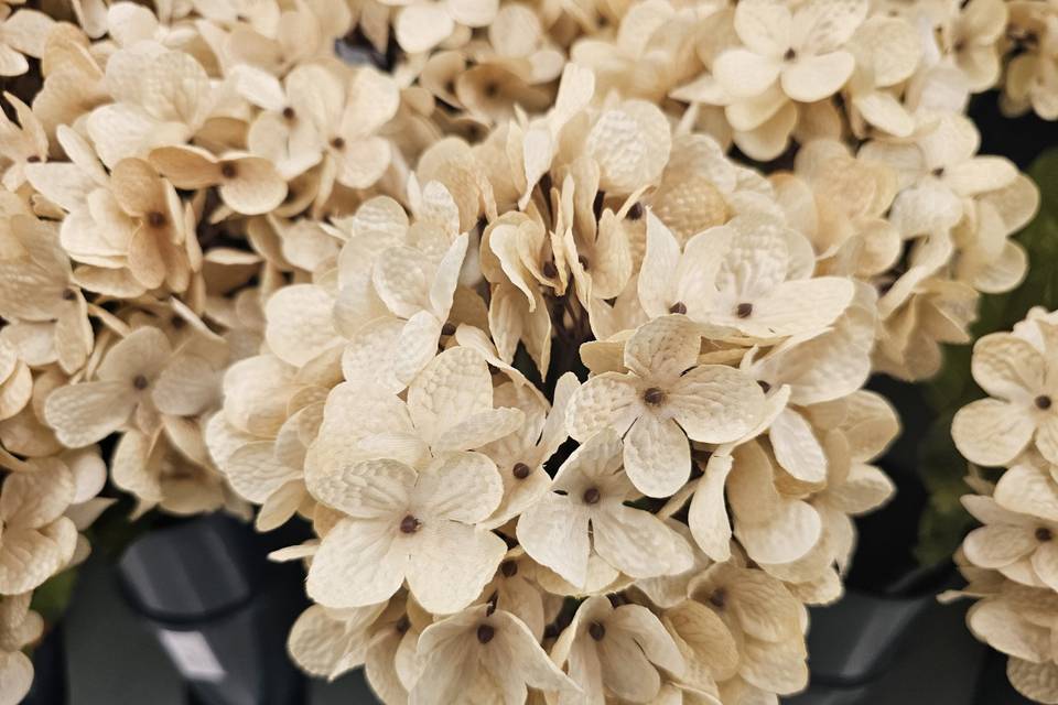 Flowers 7