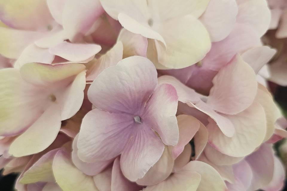 Pink/beige flowers