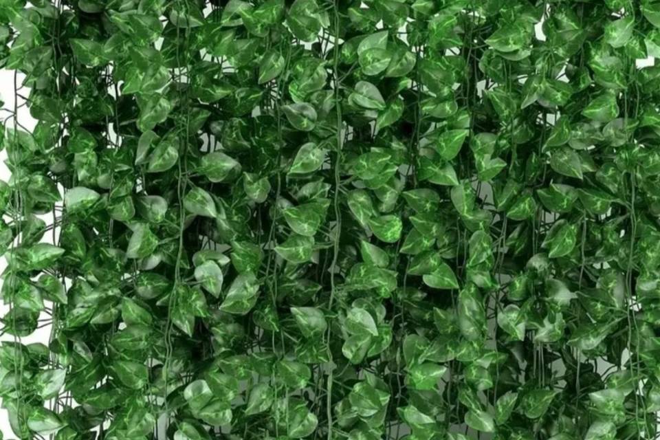 Backdrop 4