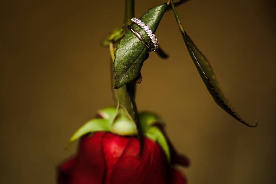 Rose wedding ring detail