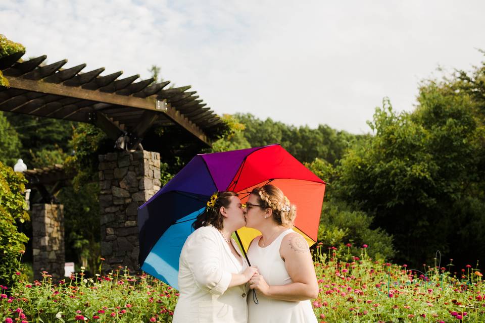 Rainbow umbrella boston ma wed