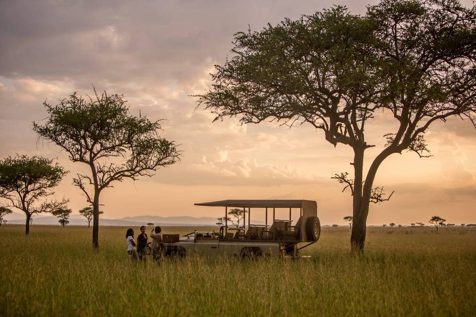 Domino Travel