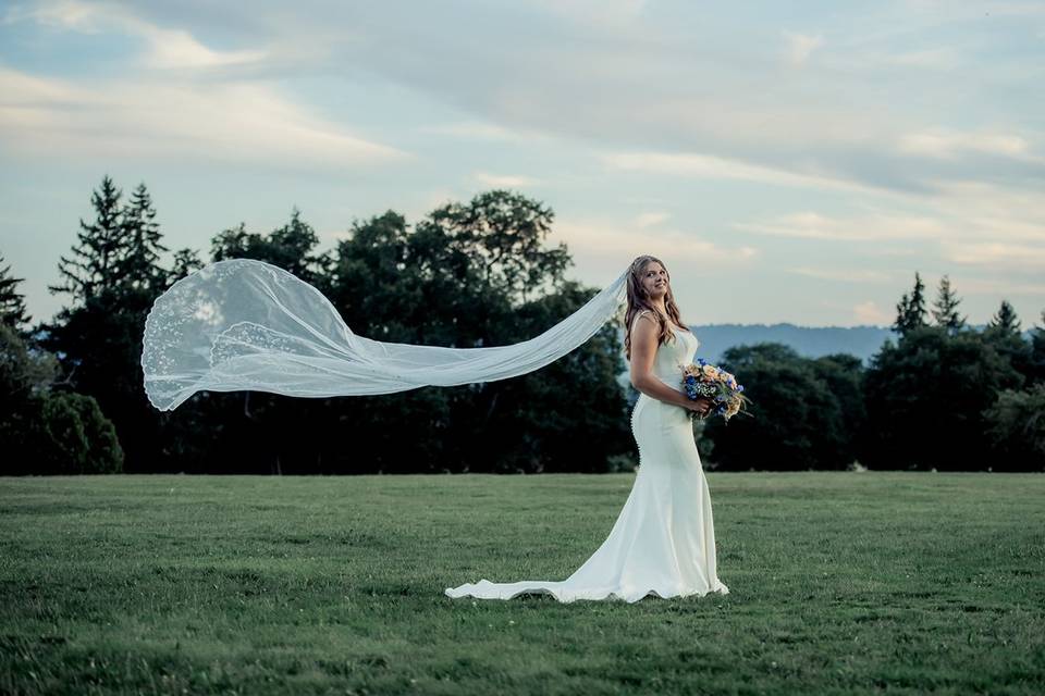 Bridal Portrait