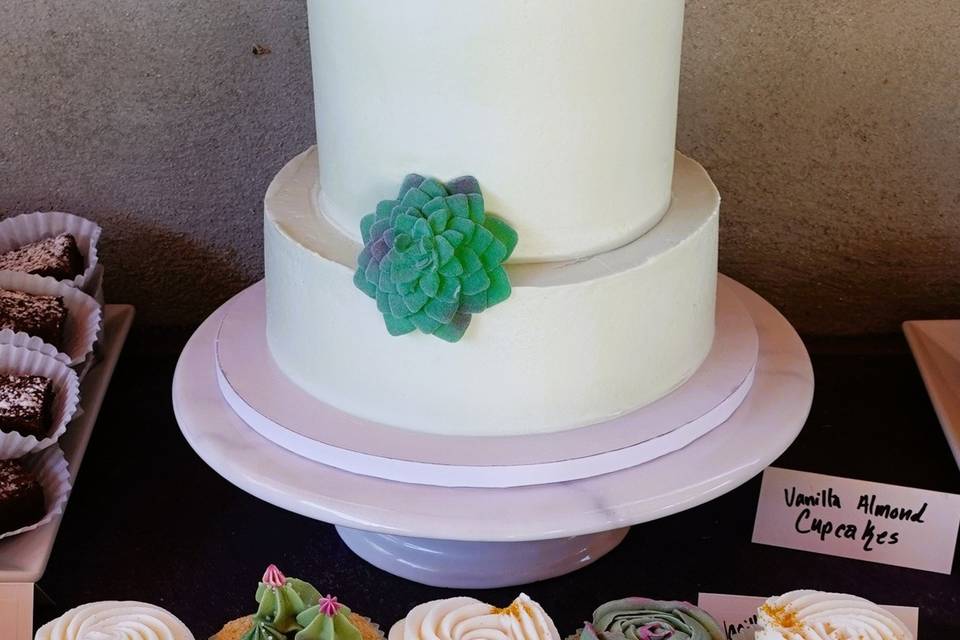 Cacti Cake