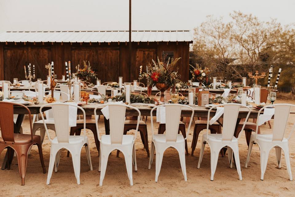 Desert Rose Metal Chair