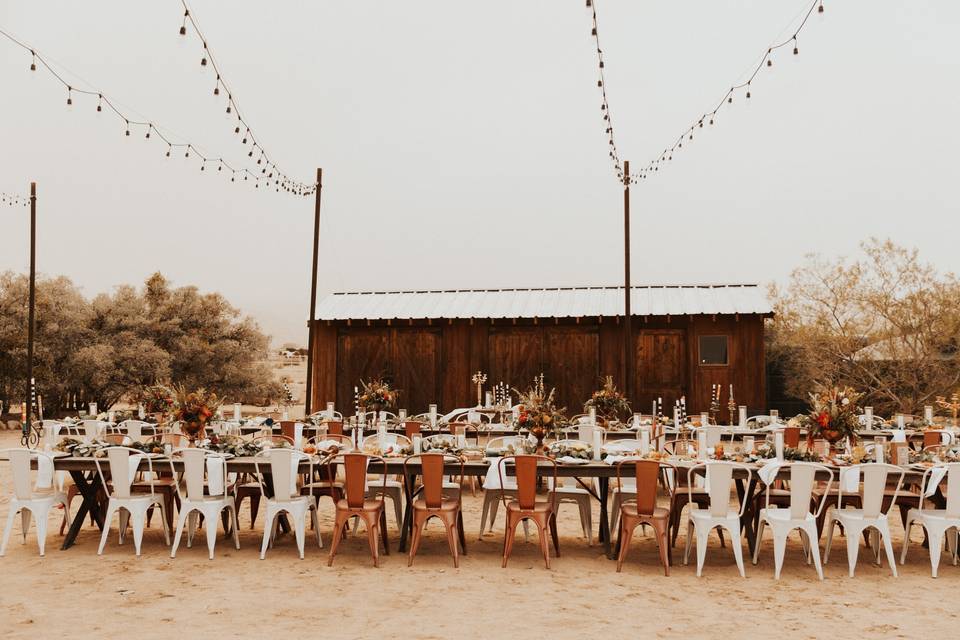 Desert Rose Metal Chair