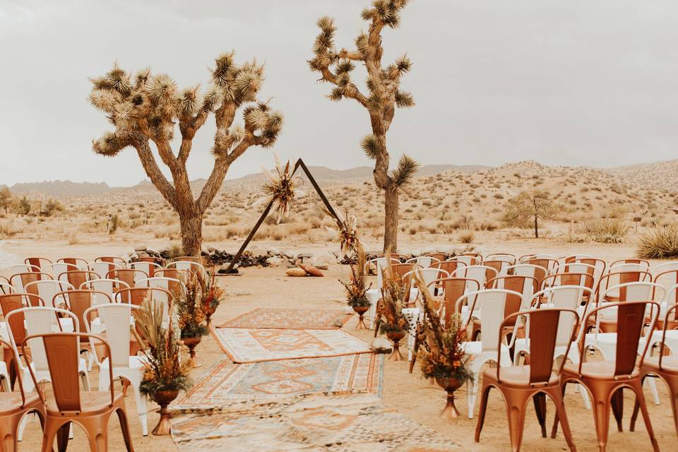 Desert decor