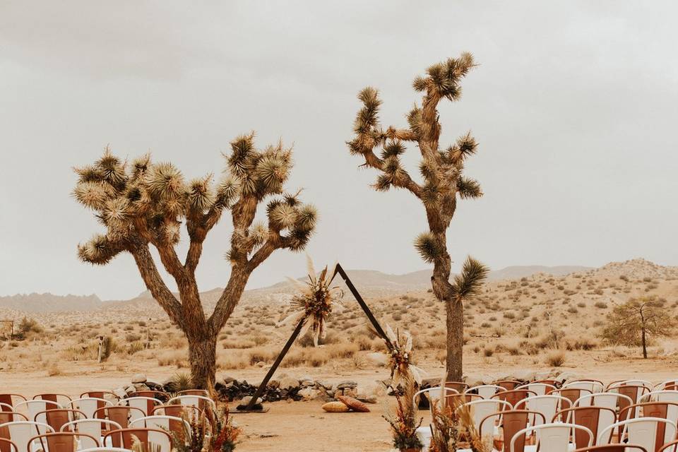 Desert rose and white chairs