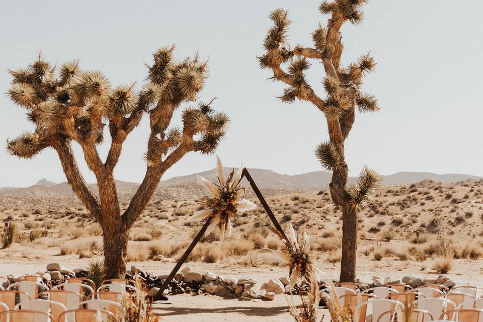 Desert Rose and White Chairs