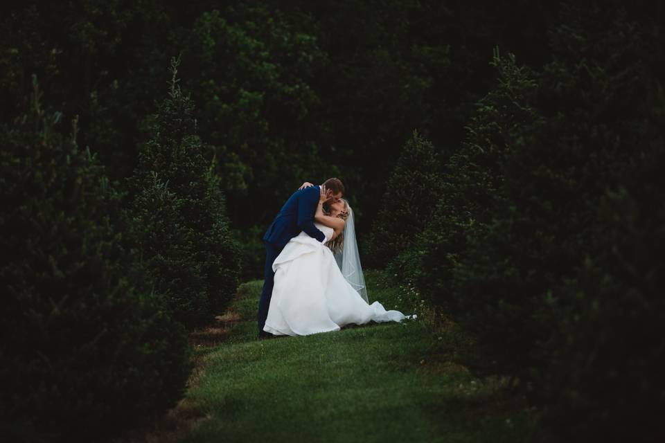 Couple in Tree Farm