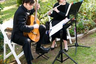 Greenspring Flute and Guitar Duo