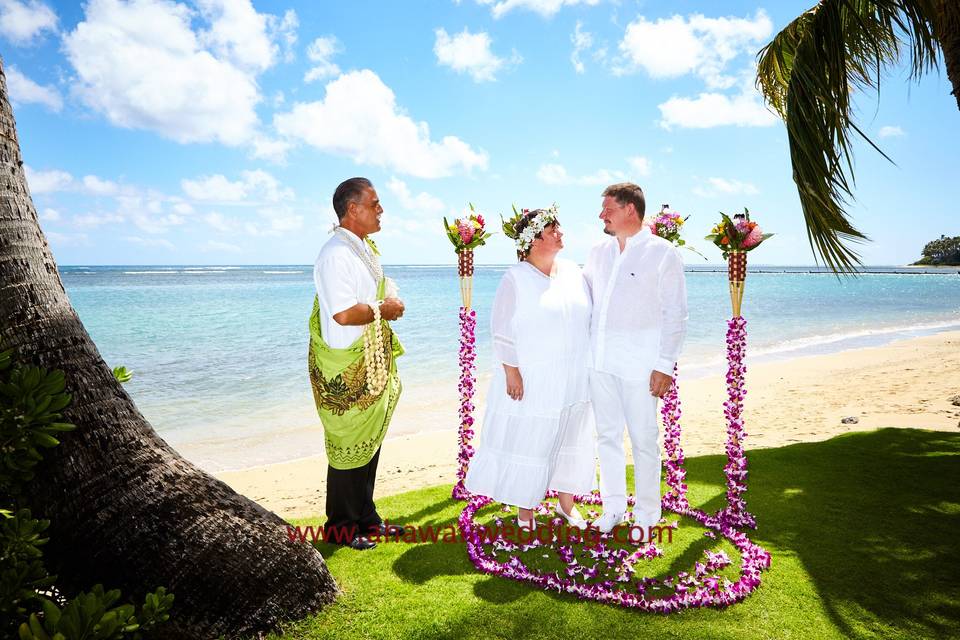 $285 A Hawaii Wedding