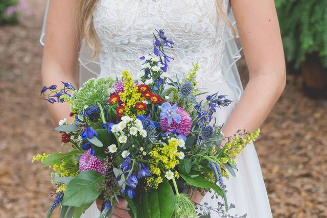 Susan Dixon Photography, LLC