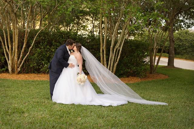 Susan Dixon Photography