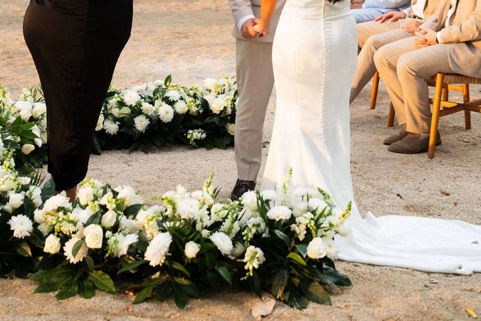 Albert and Priscilla, Guanacas