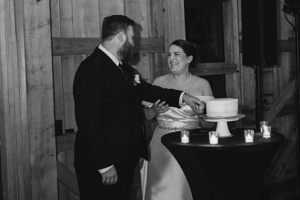 Cake Cutting