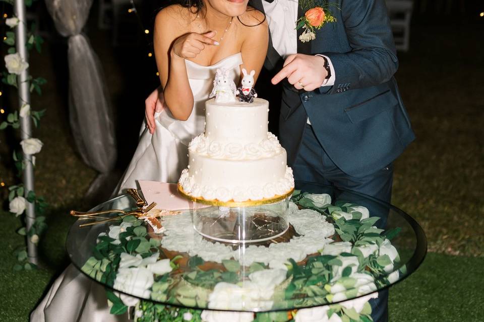 Cake Cutting