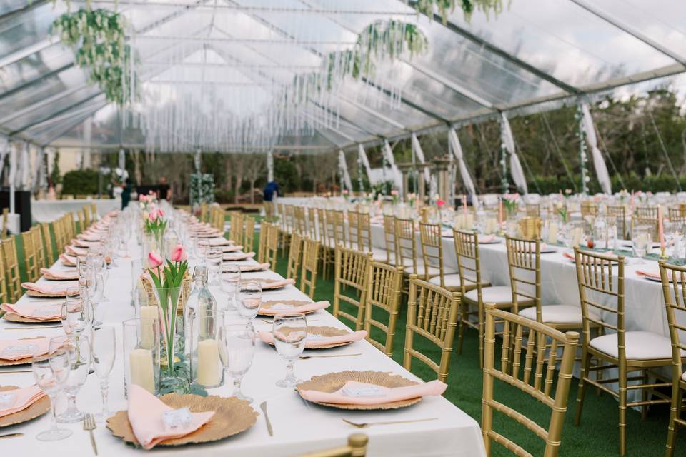 Reception Setup