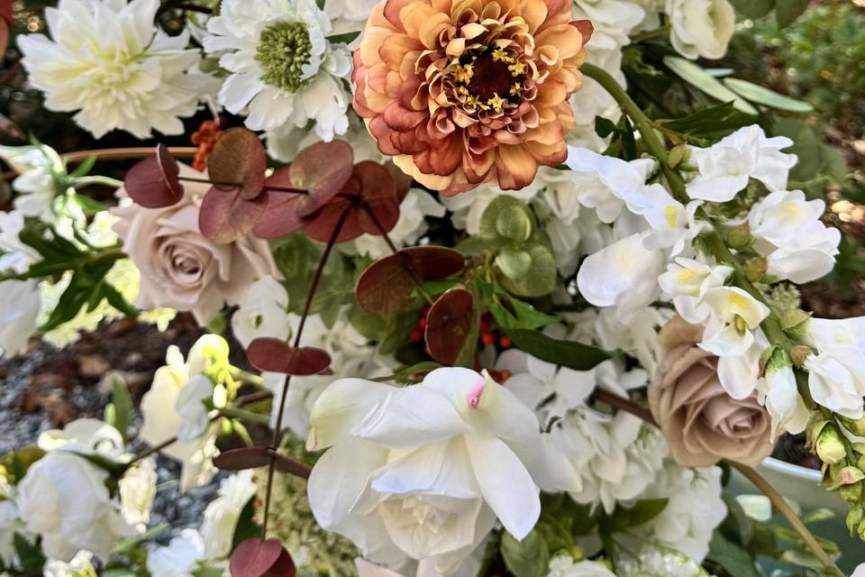 Autumn Petals